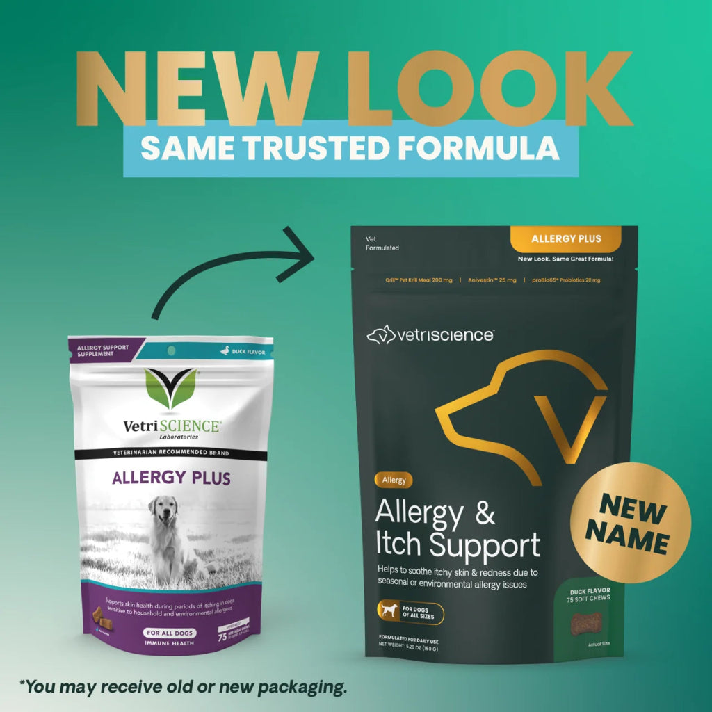 Allergy Plus is now Allergy & Itch Support — old and new packaging shown side by side