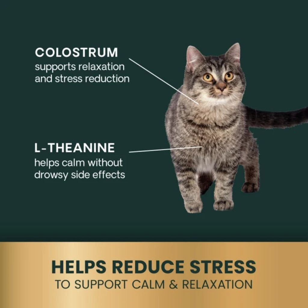 How Calm & Confident works for cats: colostrum supports relaxation and stress reduction, L-theanine helps calm without drowsy side effects