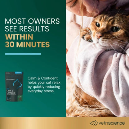 Owner holding a calm cat, illustrating Calm & Confident results for cats