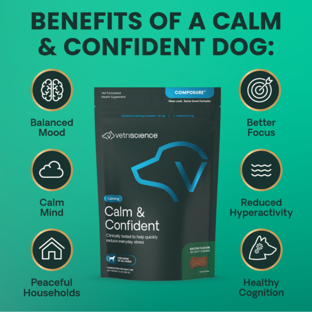 A product infographic for Vetscience Calm & Confident dog supplements on a teal background. The central subject is a black stand-up pouch of Vetscience Calm & Confident (Bacon Flavour) capsules, flanked by circular icons with text highlighting benefits such as Balanced Mood, Better Focus, Reduced Hyperactivity, and Healthy Cognition.
