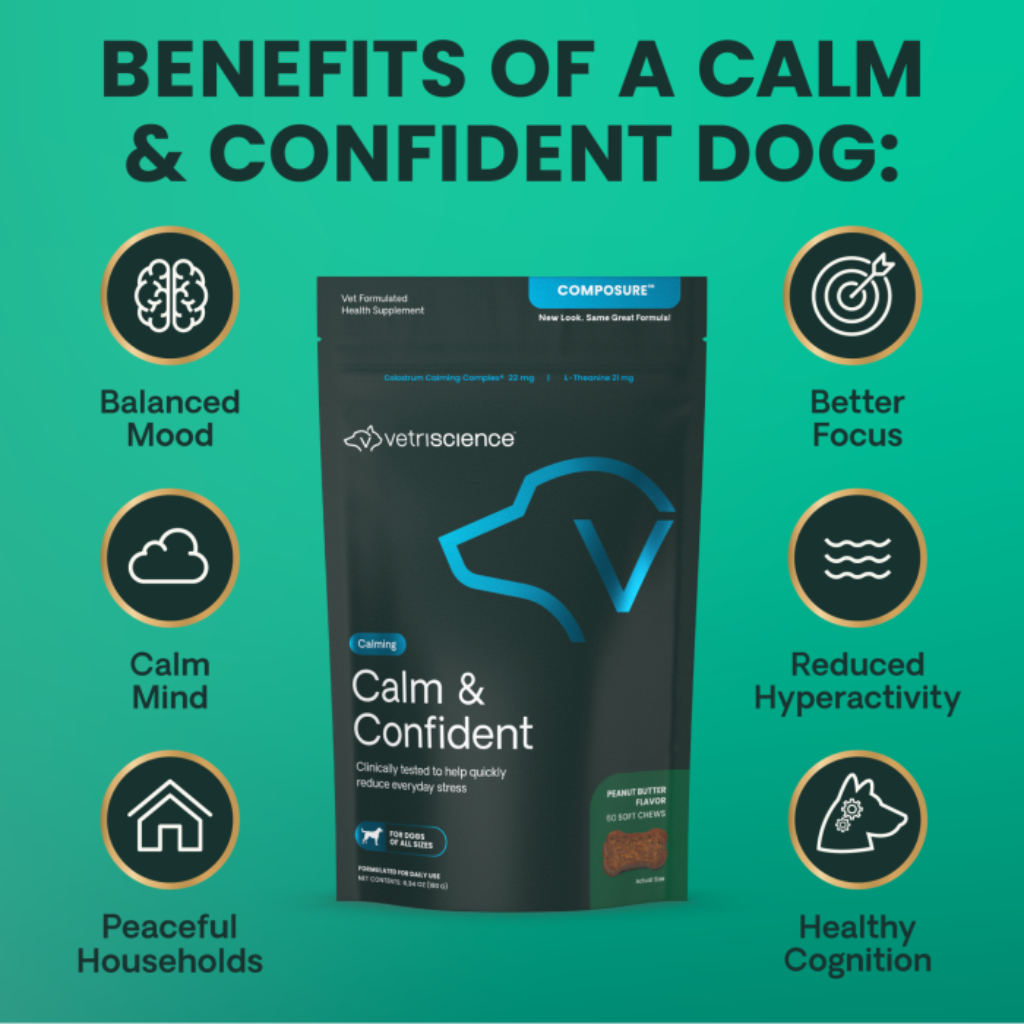 A promotional graphic for VetriScience 'Calm & Confident' dog supplement. The center features a black stand-up pouch of the supplement, surrounded by circular icons and text highlighting benefits such as 'Balanced Mood', 'Calm Mind', 'Peaceful Households', 'Better Focus', 'Reduced Hyperactivity', and 'Healthy Cognition' on a solid teal-green background.