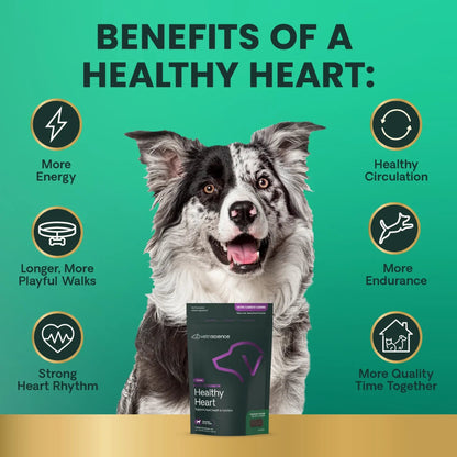Benefits of Extra Strength Healthy Heart: more energy, healthy circulation, longer playful walks, more endurance, strong heart rhythm and more quality time together
