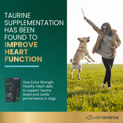 VetriScience graphic on the role of taurine in canine heart function, shown with Extra Strength Healthy Heart for dogs