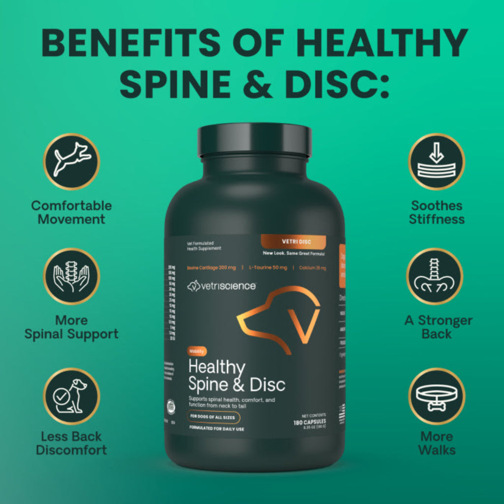 Benefits of Healthy Spine & Disc: comfortable movement, soothes stiffness, more spinal support, a stronger back, less back discomfort and more walks