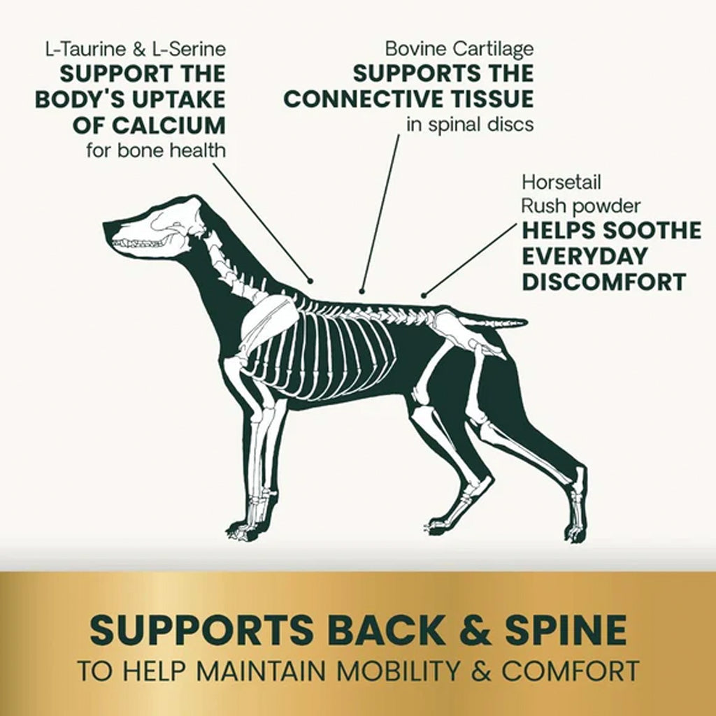Diagram of the canine spine and intervertebral discs supported by Healthy Spine & Disc