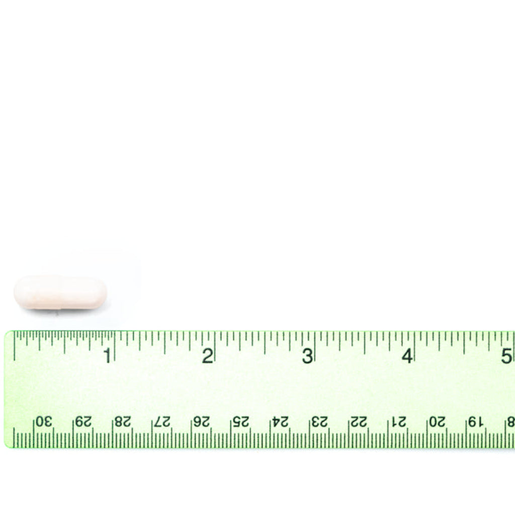 Healthy Spine & Disc capsule shown beside a ruler to indicate its size