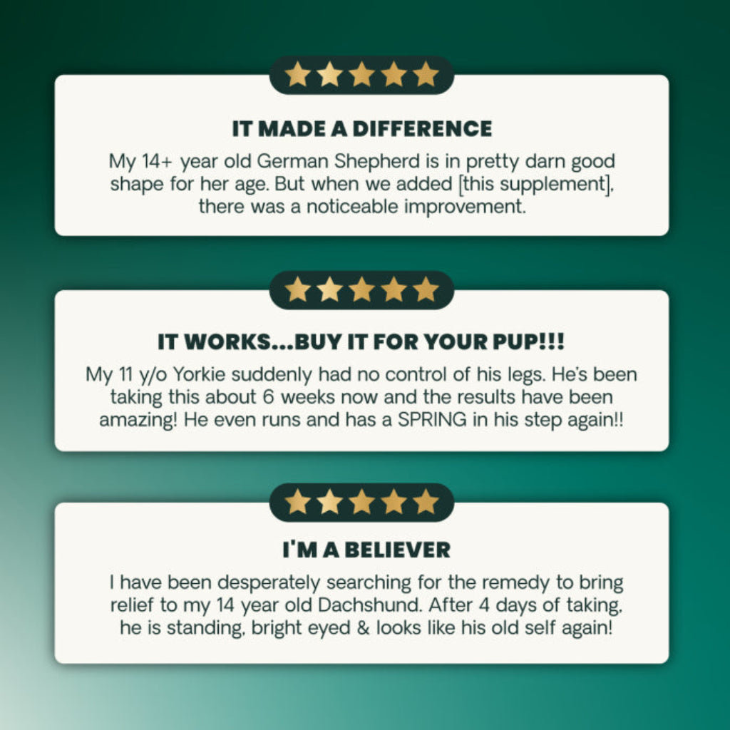Three VetriScience customer reviews of Healthy Spine & Disc for dogs