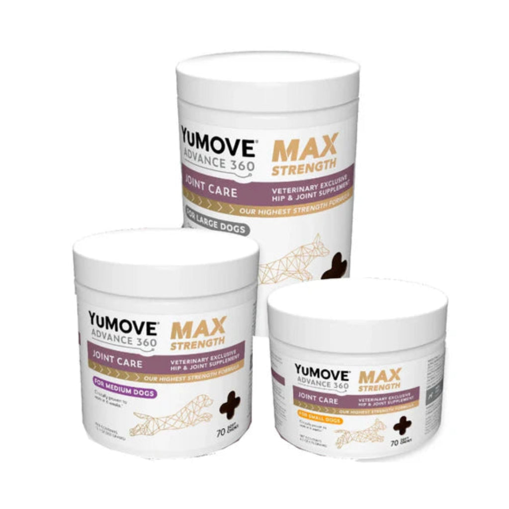 Three containers of YuMOVE Max Strength joint care supplement for dogs on a white background