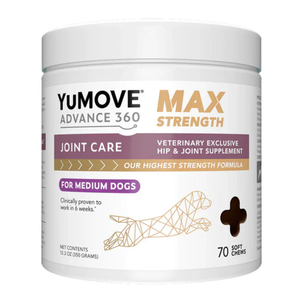 Yumove Advance 360 Max Strength joint care supplement for medium dogs on a white background