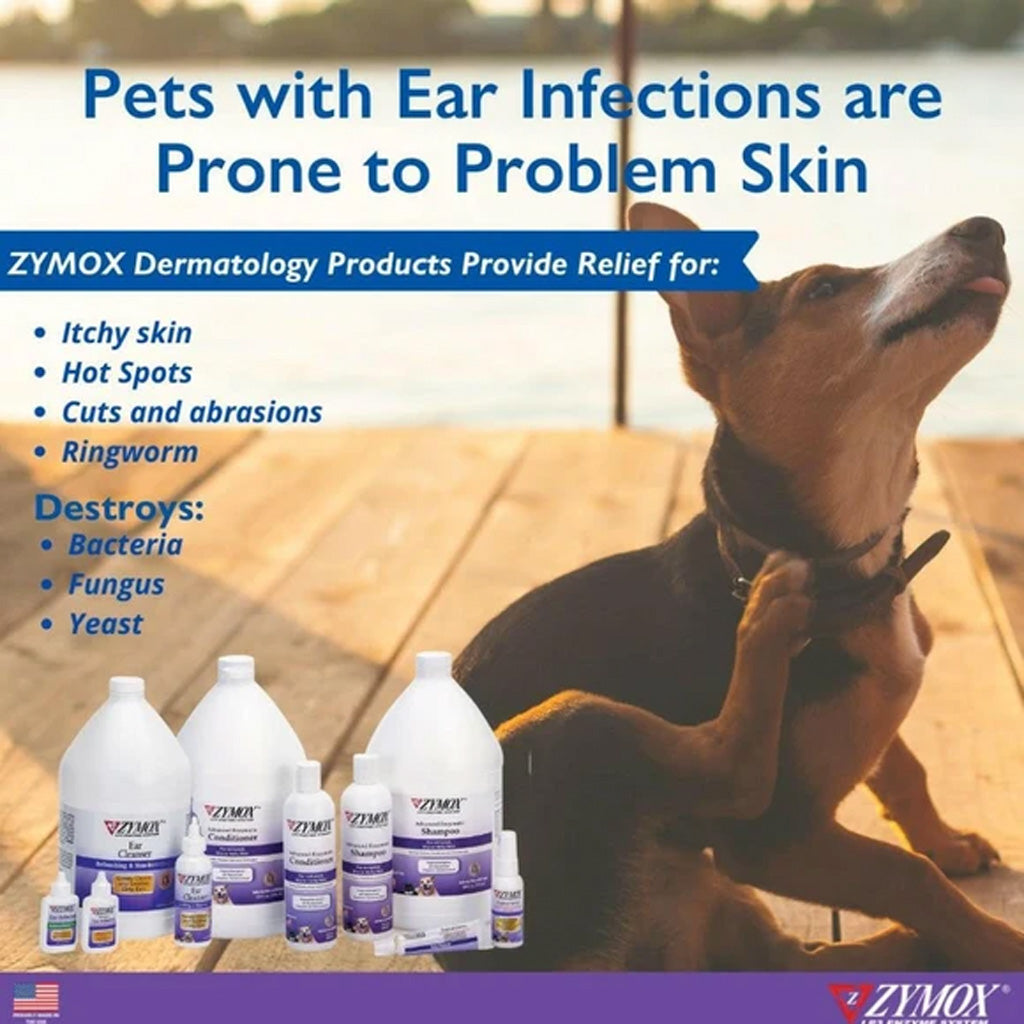 Dog with ear infections and ZYMOX dermatology products on a dock.