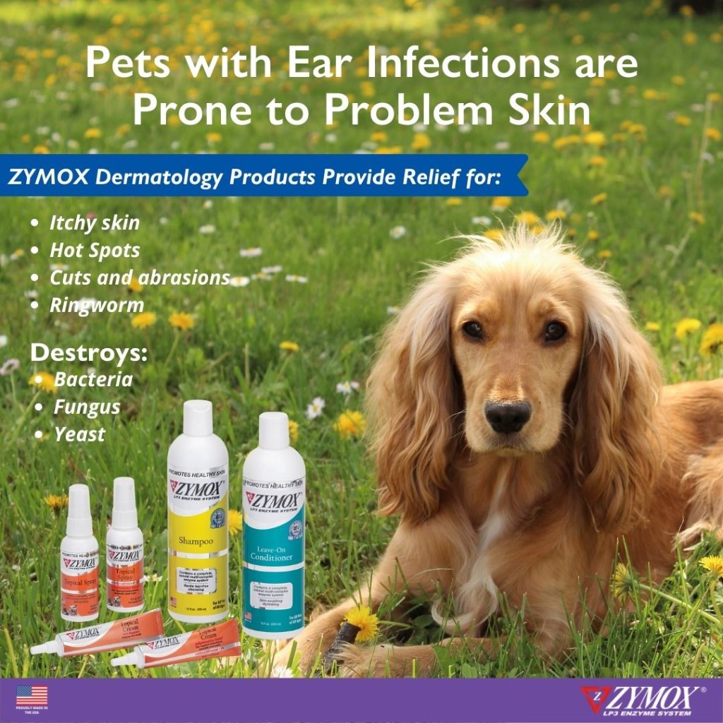 Breeds and situations prone to ear problems, with ZYMOX Otic